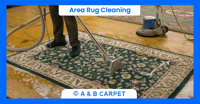 Area rug cleaning brooklyn ny